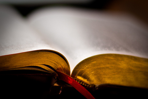 4432945289_b6cabfef1a